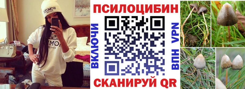 Галлюциногенные грибы GOLDEN TEACHER  Реутов 